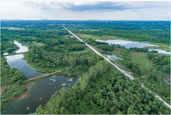 1649912584146592.png image.png